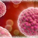 cancer cells
