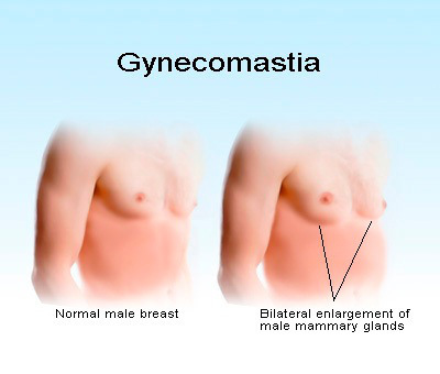 Testosterone during puberty