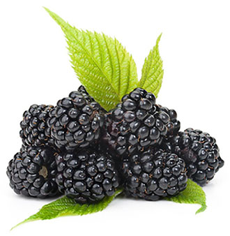 black raspberries