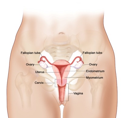 cervical-cancer