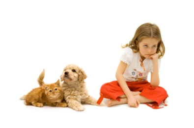 Repulse you Pet Allergy with Simple Steps