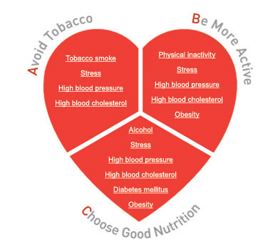 Heart Diseases